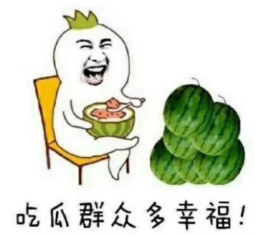 一线吃瓜 娱乐圈 晋江,娱乐圈风云变幻,晋江文坛再掀热潮